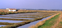 les claires- huitres Marennes Oleron