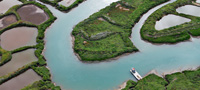 les claires- huitres Marennes Oleron