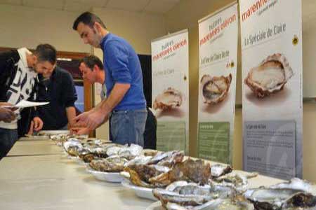 formations about  Marennes Oleron Oysters