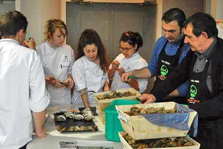 formations about  Marennes Oleron Oysters