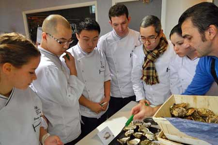 formations about  Marennes Oleron Oysters