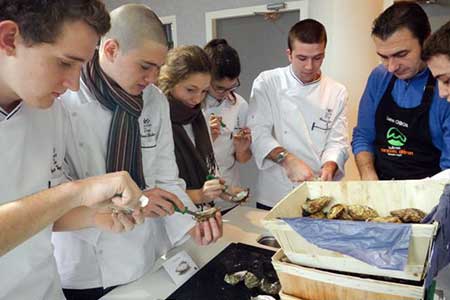 formations about  Marennes Oleron Oysters