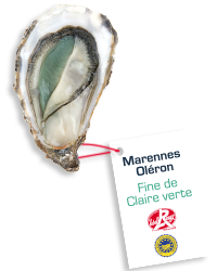 huitre marennes oleron fine de claire verte Label Rouge