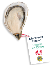 Phuitre marennes oleron pousse en claire Label Rouge