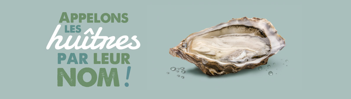 visual pub 2017 for Marennes Oléron oysters