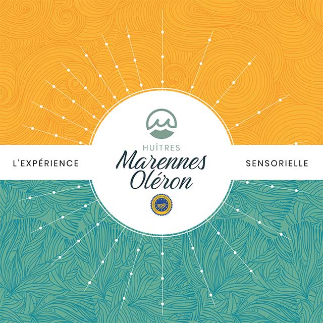 expérience sensorielle huîtres Marennes Oléron