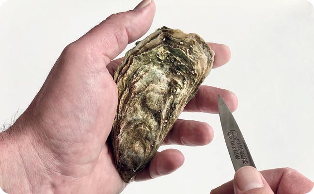 ouvrir ses huîtres Marennes Oléron