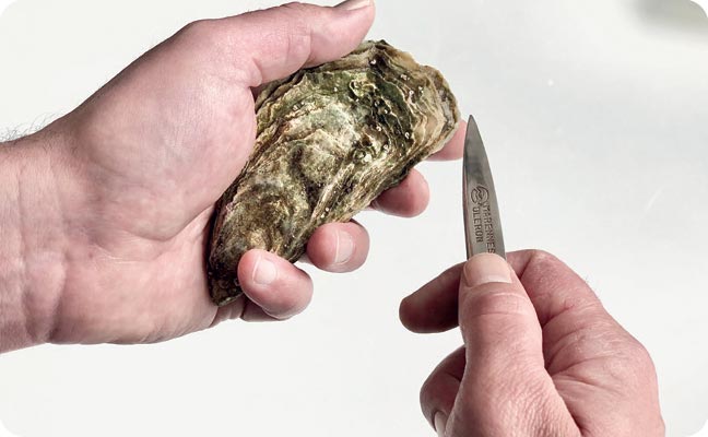 ouvrir ses huîtres Marennes Oléron