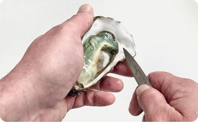 ouvrir ses huîtres Marennes Oléron